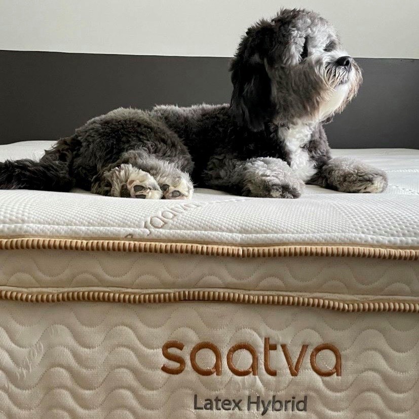 saatva-mattress
