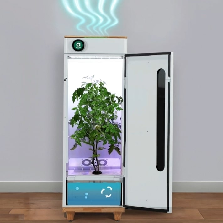 Abby Grow Box Image 1