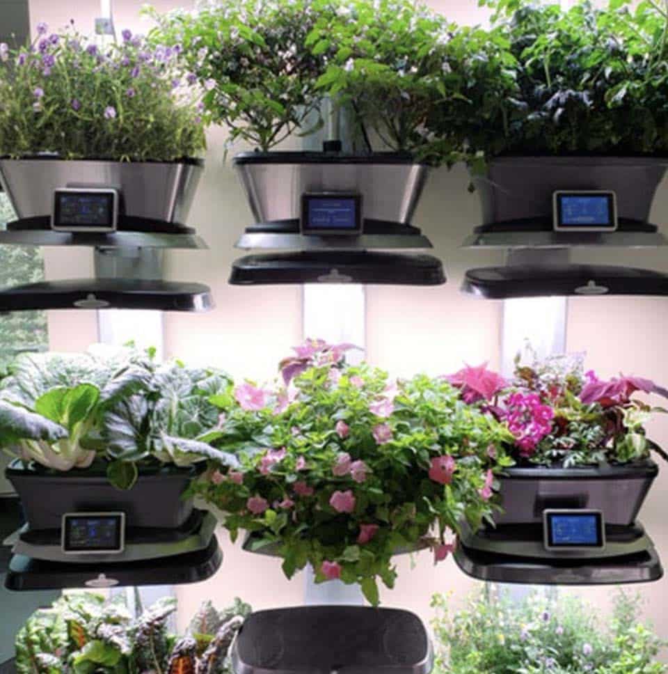 aerogarden pods packaging