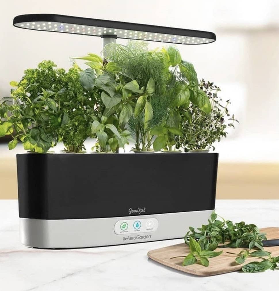 aerogarden pods in use