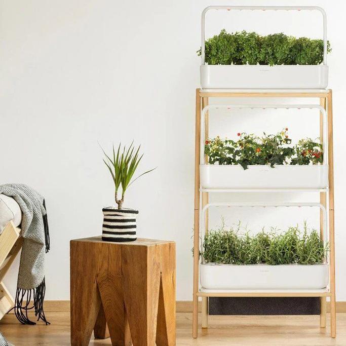 AeroGarden product image